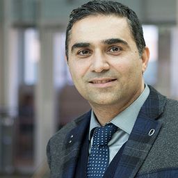 Abbas S. Milani